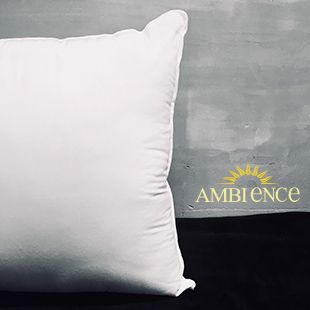 安比安思 專利防蟎抗菌透氣枕